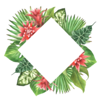 Tropical leaves and red flowers with buds square frame. Watercolor bromeliad, palm leaf, calathea, philodendron exotic creeper. Jungle floral card. Hand drawn illustration. Isolated from background. png
