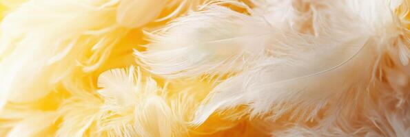 Soft white feather background with bright yellow light and fluffy texture photo