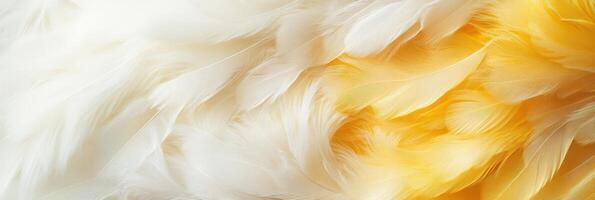 Close-up of soft white and yellow feather texture in gentle overlapping layers photo