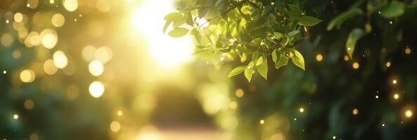 Sunlit green leaves amidst glowing bokeh in a tranquil natural setting photo