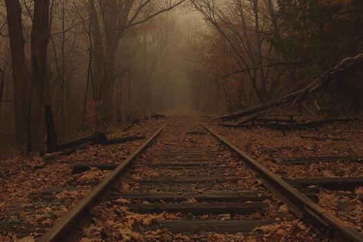 Abandoned railway tracks in misty autumn forest with fallen leaves covering rails photo