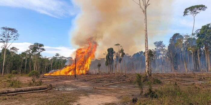 Intense forest fire in amazon rainforest showcasing deforestation impact photo