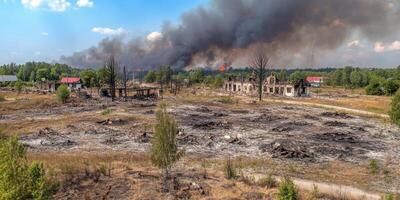 Forest fire aftermath showing burned trees and scorched landscape under blue sky photo