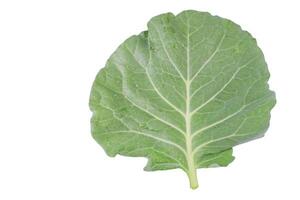 3. Broccoli leaves isolated with clipping paths on white background. This image represents healthy eating, plant based nutrition, and the versatility of leafy greens in cooking and wellness. photo