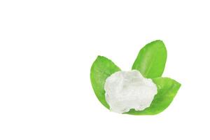 11. Pieces of alum stone on green leaf on white background. This image emphasizes the connection between natural minerals and plant based ingredients in traditional practices and holistic wellness. photo