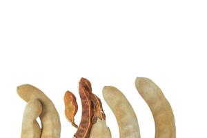 11. Cutout sour tamarind on white background. The variety with a sour taste comes from tartaric acid. Fresh pods are used in cooking to add sourness, mature pods are used to make tamarind paste. photo