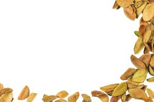 Cutout of leaf texture background with copy space and clipping paths on white background. Ideal for graphic design, card making, and nature themed creative projects.1 photo