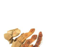 14. Cutout sour tamarind on white background. The variety with a sour taste comes from tartaric acid. Fresh pods are used in cooking to add sourness, mature pods are used to make tamarind paste. photo