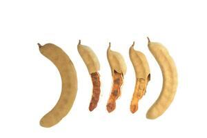 4. Cutout sour tamarind on white background. The variety with a sour taste comes from tartaric acid. Fresh pods are used in cooking to add sourness, mature pods are used to make tamarind paste. photo
