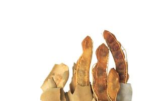 10. Cutout sour tamarind on white background. The variety with a sour taste comes from tartaric acid. Fresh pods are used in cooking to add sourness, mature pods are used to make tamarind paste. photo
