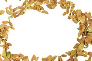 7. Cutout of leaf texture background with copy space and clipping paths on white background. Ideal for graphic design, card making, and nature themed creative projects. photo