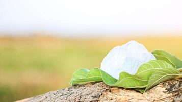 2. Pieces of alum stone on green leaf against blurred background. The connection between natural minerals and plant based ingredients in traditional practices and holistic wellness. photo