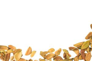 Cutout leaf texture background with copy space and clipping paths on white background. Ideal for graphic design, card making, photo
