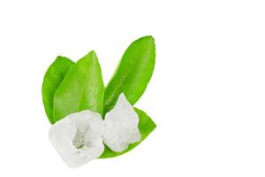 12. Pieces of alum stone on green leaf against white background. This image emphasizes the connection between natural mineral and plant based ingredient in traditional practices and holistic wellness. photo
