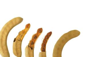 1. Cutout sour tamarind on white background. The variety with a sour taste comes from tartaric acid. Fresh pods are used in cooking to add sourness, mature pods are used to make tamarind paste. photo