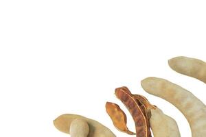 13. Cutout sour tamarind on white background. The variety with a sour taste comes from tartaric acid. Fresh pods are used in cooking to add sourness, mature pods are used to make tamarind paste. photo