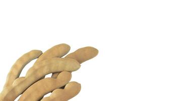 3. Cutout sour tamarind on white background. The variety with a sour taste comes from tartaric acid. Fresh pods are used in cooking to add sourness, mature pods are used to make tamarind paste. photo