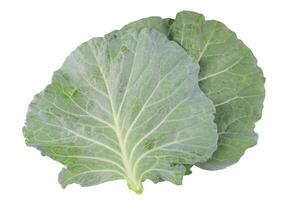 1. Broccoli leaves isolated with clipping paths on white background. This image represents healthy eating, plant based nutrition, and the versatility of leafy greens in cooking and wellness. photo