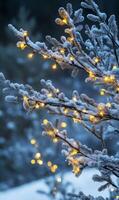 Serene winter scene featuring snow covered branches adorned with glowing festive fairy lights photo