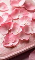 Delicate hydrangeas petals scattered on a blush surface showcasing floral freshness photo