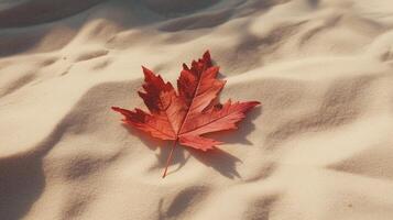 Autumnal contrast a vibrant leaf resting on a soft bed of textured golden sand dunes photo