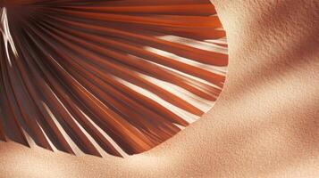 Terra cotta hues and natural textures combining a palm frond and sand dunes in gentle light photo