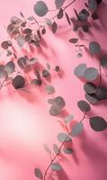 Eucalyptus sprigs cast elegant shadows across a vibrant pink surface creating visual poetry photo