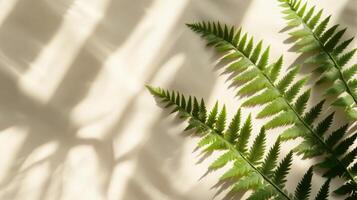 Minimalist composition featuring fern leaves casting soft shadows on a textured surface photo