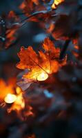 Illuminated autumn foliage with votive candles, evoking warmth and enchanting atmosphere photo