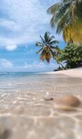 Seascape tranquility clear water meets white sand beach framed by swaying palm trees beneath a sunny sky photo