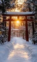 Snowy path through torii gates leads to sunlit forest, invoking serene japanese winter photo