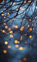 Branch illumination with diffused lights and water drops in a serene blue atmosphere photo
