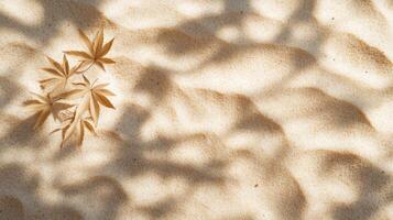 Botanical autumn display, showcasing golden leaves contrasting against textured sandy background photo