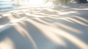 Golden hour at a tranquil beach featuring rhythmic sand patterns and palm leaf shadows photo