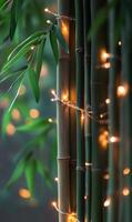 Illuminated bamboo stalks with glowing fairy lights creating serene ambiance in nature setting photo