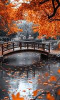 Autumnal hues over placid water reflect a wooden bridge in a serene japanese garden photo