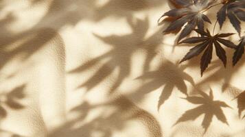 Botanical minimalism with maple leaves and their shadows on textured tan surface photo