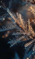 Delicate ice formations on a plant create a mesmerizing winter landscape macro photography photo