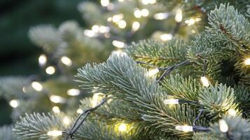 Illuminated evergreen boughs adorned with miniature twinkling christmas lights shining softly photo