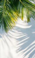 Tropical tranquility with palm fronds casting gentle shadows on the pristine white sandy beach photo