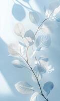 Delicate foliage with subtle blues and shadows evoking a calm and ethereal atmosphere photo