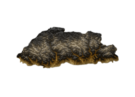 Bhutan Map Golden Metallic Texture Map Gold Reserves And Gold Mining Concept 3D Illustration png