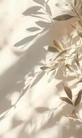 Delicate olive branch shadow interplay on textured wall, creating a serene atmosphere photo