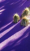 Cactus garden on purple dunes, surreal landscape and sun-drenched desert setting photo