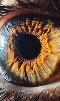Detailed macro shot exhibiting a captivating human eye with intricate iris pattern photo