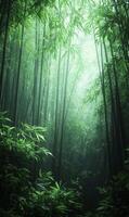 Serene bamboo forest illuminated by soft light creating a tranquil and peaceful atmosphere photo