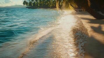 Tropical coast bathed in sunlight with gentle waves lapping the sandy shoreline vista photo