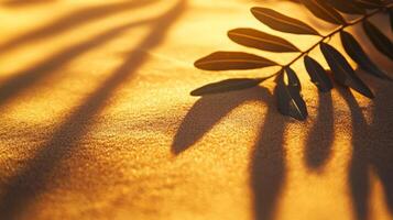 Golden hour serenity a leaf branch casts elongated shadows on sun drenched glistening sand photo