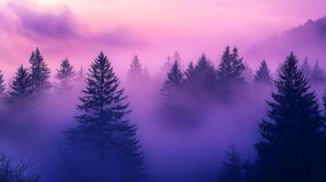 Enigmatic coniferous forest veiled in ethereal mist under pastel shaded sky panorama photo