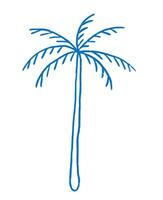 Tropical palm tree in ink sketch style. Abstract outline palm on isolated background. Design elements vector